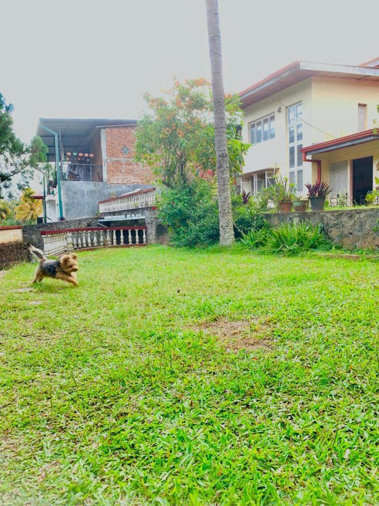 No 06 Veediya Bandara Lane Bahirawakanda Kandy Esterno foto